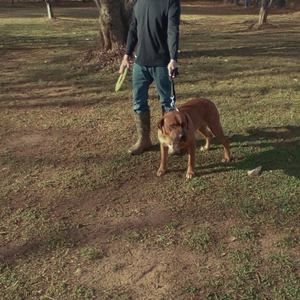 Meet your Posher, Phil